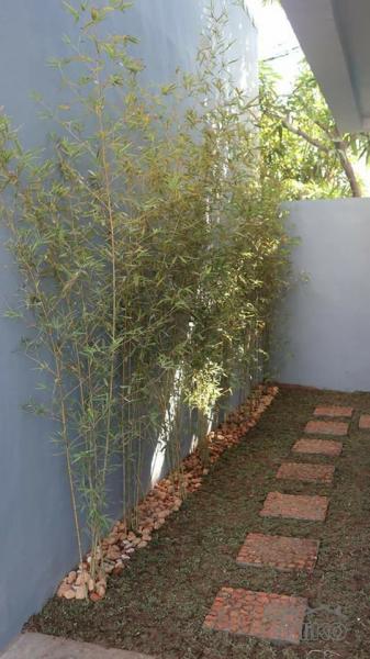 3 bedroom House and Lot for sale in Rodriguez - image 6
