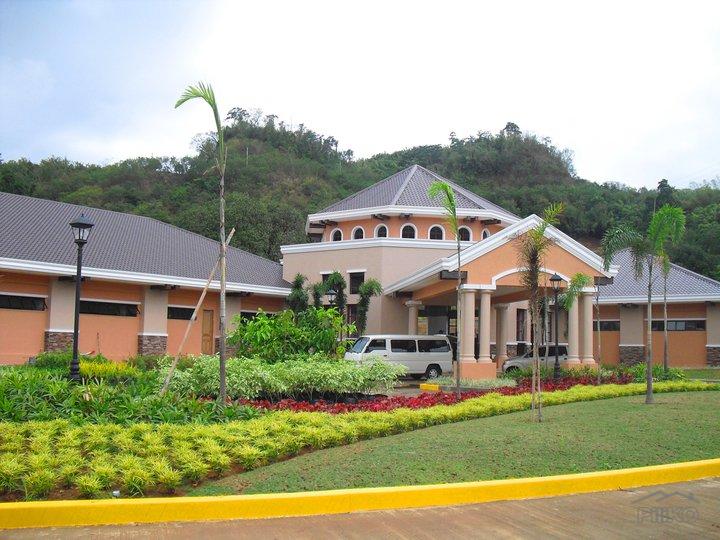 Agricultural Lot for sale in Baras - image 3