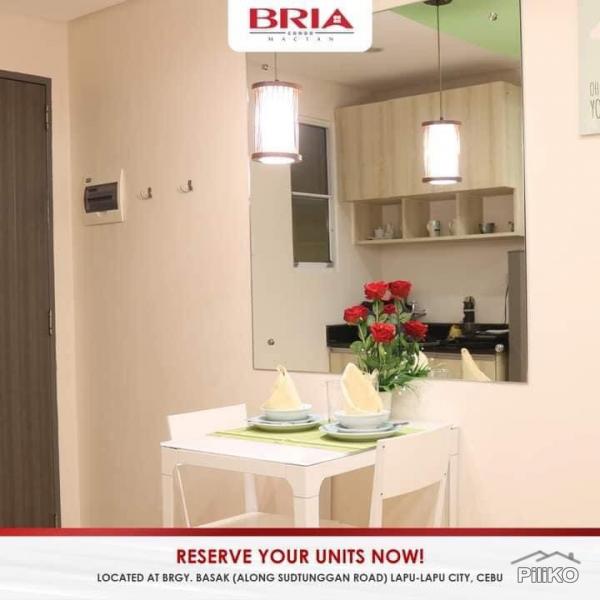 1 bedroom Condominium for rent in Lapu Lapu - image 3