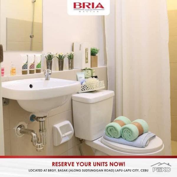 1 bedroom Condominium for rent in Lapu Lapu - image 5