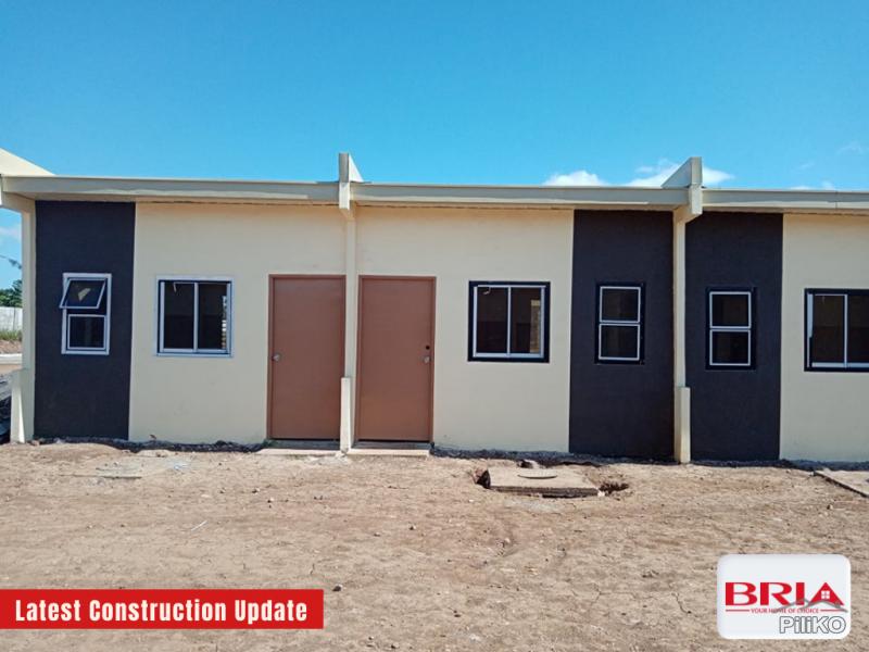 House and Lot for sale in Pili - image 2