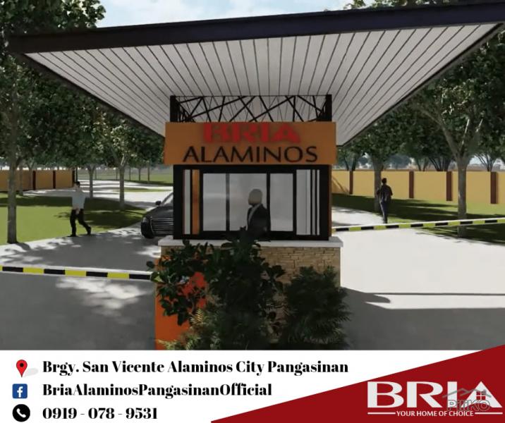 Picture of 2 bedroom House and Lot for sale in Alaminos
