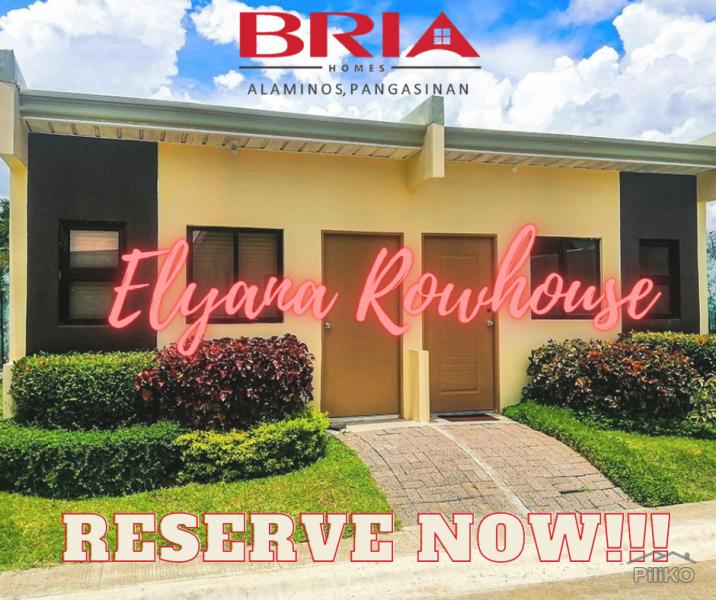 Pictures of 1 bedroom House and Lot for sale in Alaminos