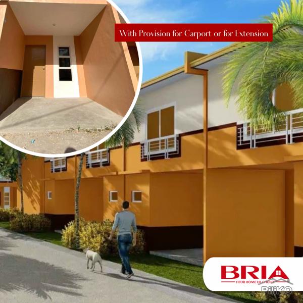 Picture of House and Lot for sale in Pili