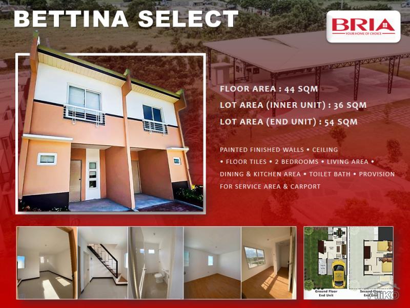 House and Lot for sale in Pili