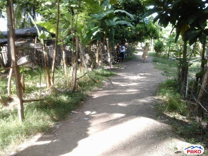 Picture of Residential Lot for sale in Minglanilla