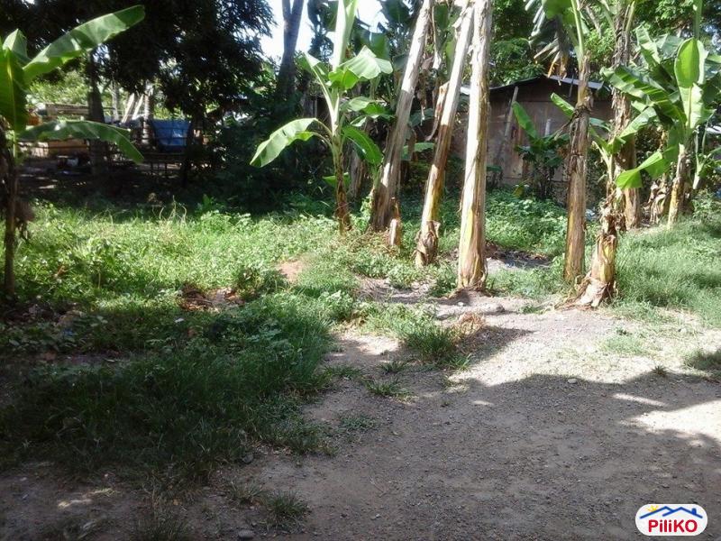 Residential Lot for sale in Minglanilla