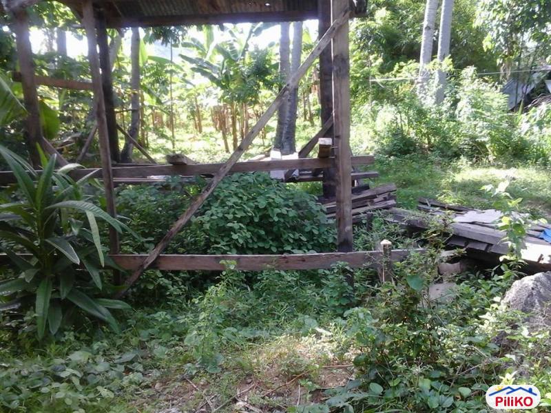 Residential Lot for sale in Minglanilla in Cebu