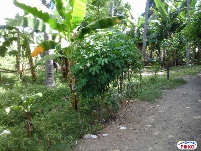 Residential Lot for sale in Minglanilla in Philippines