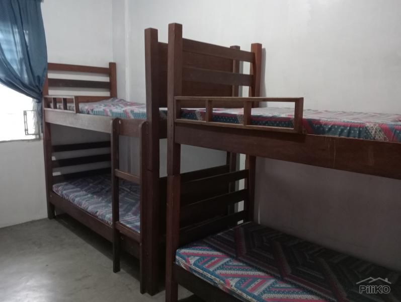 Rooms for rent in Santa Rosa - image 2