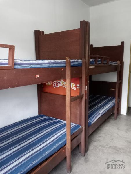 Bedspace for rent in Santa Rosa