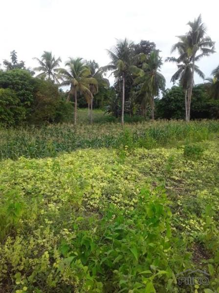 House and Lot for sale in Inabanga in Philippines