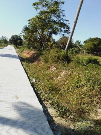 Residential Lot for sale in San Isidro in Bohol