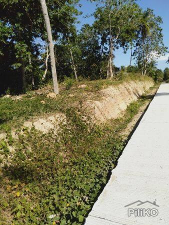Residential Lot for sale in San Isidro in Philippines