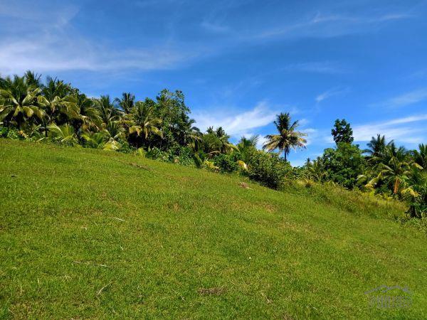 Agricultural Lot for sale in Borbon in Philippines