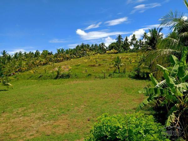 Picture of Agricultural Lot for sale in Borbon in Philippines