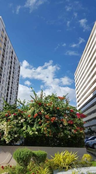 2 bedroom Condominium for sale in Lapu Lapu - image 2