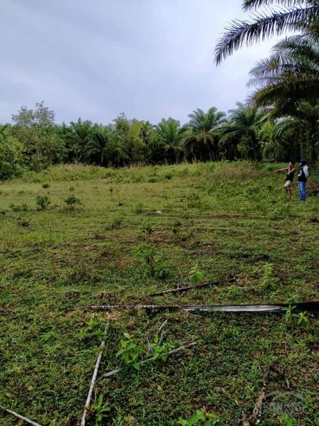 Picture of Agricultural Lot for sale in San Miguel in Philippines