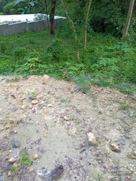 Picture of Agricultural Lot for sale in Mandaue