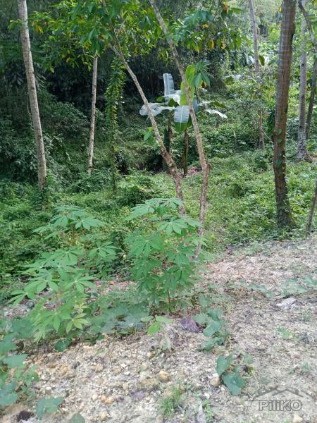 Agricultural Lot for sale in Mandaue in Philippines