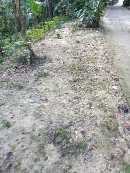 Picture of Agricultural Lot for sale in Mandaue in Cebu