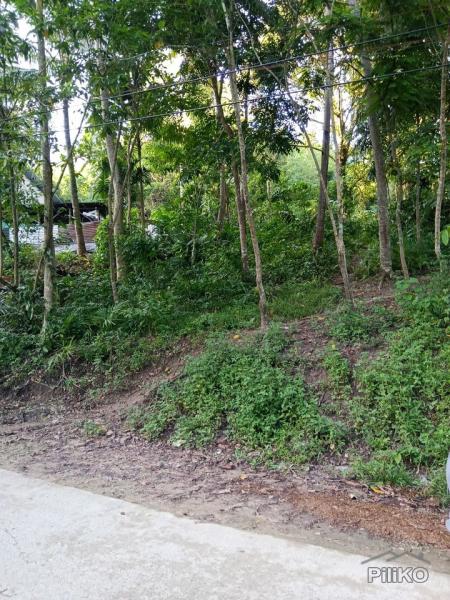 Picture of Agricultural Lot for sale in Mandaue