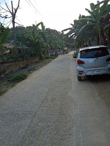 Agricultural Lot for sale in Mandaue - image 7