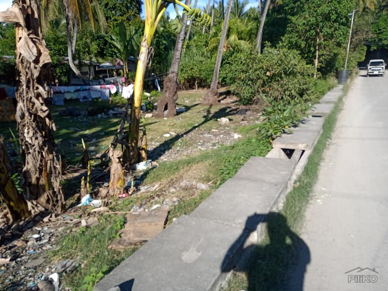 Agricultural Lot for sale in Carmen - image 10