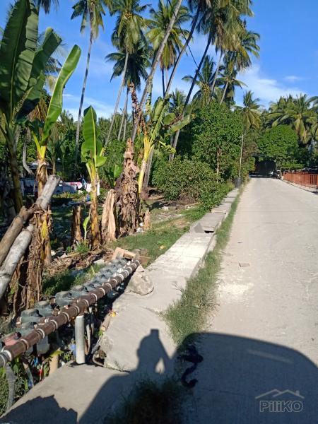 Agricultural Lot for sale in Carmen - image 11