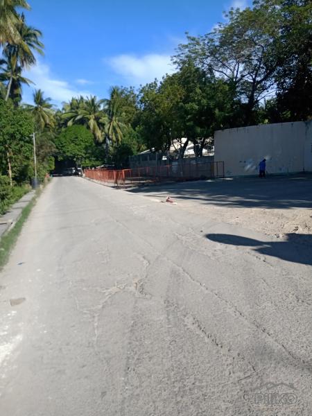 Agricultural Lot for sale in Carmen - image 12