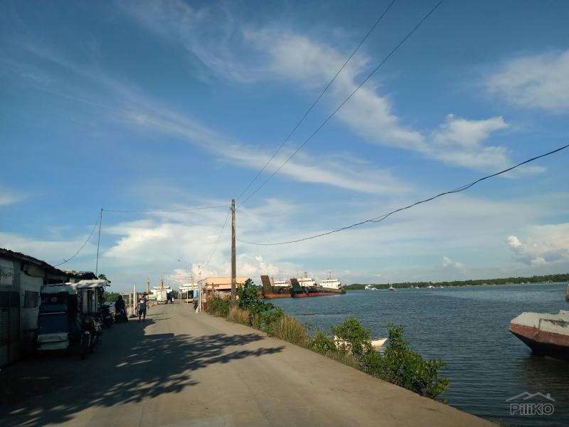 Agricultural Lot for sale in Carmen - image 3