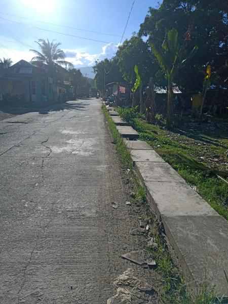 Agricultural Lot for sale in Carmen in Philippines