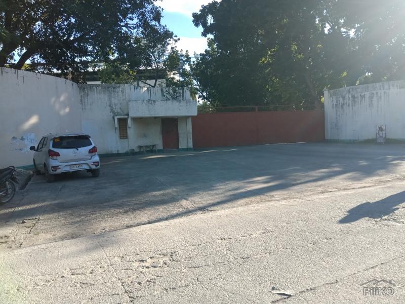 Agricultural Lot for sale in Carmen - image 5