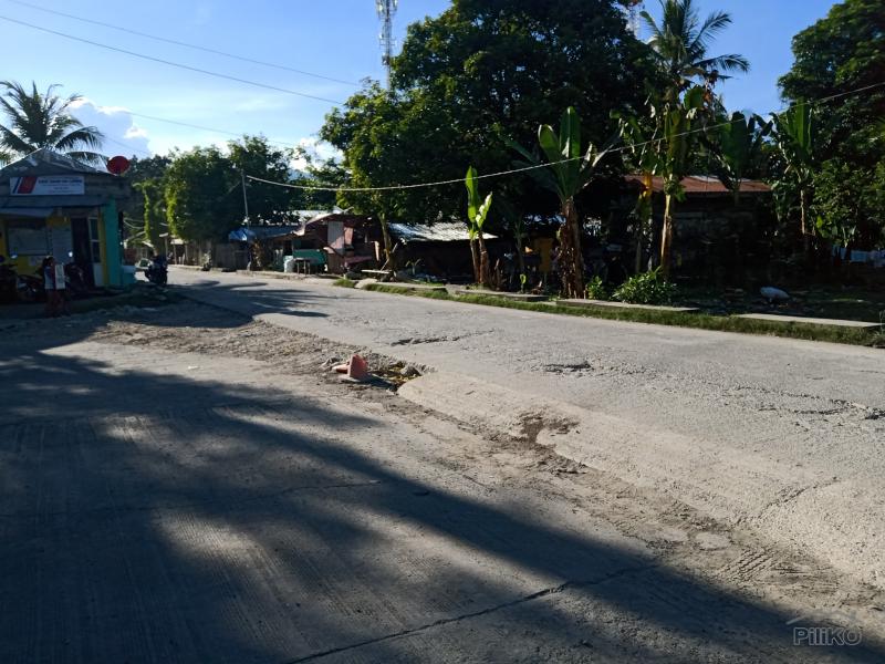 Picture of Agricultural Lot for sale in Carmen in Philippines