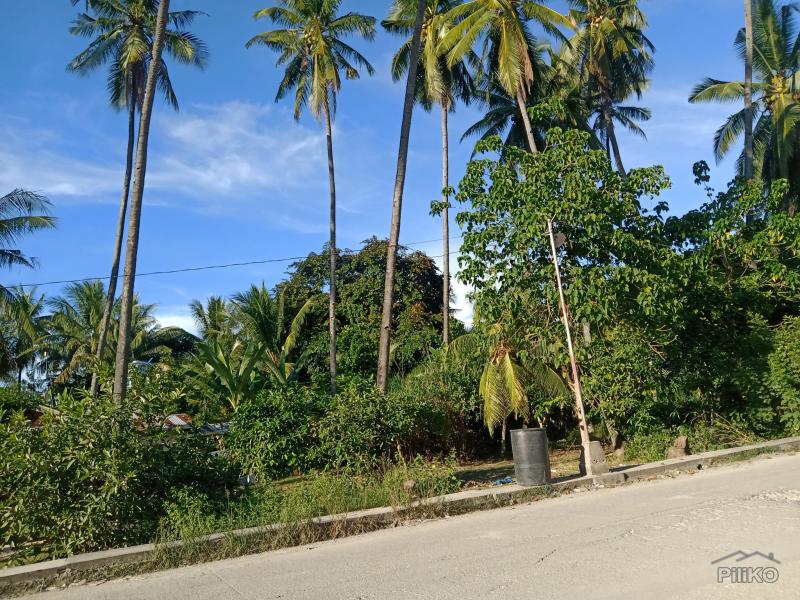 Agricultural Lot for sale in Carmen - image 8
