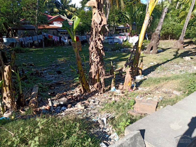 Agricultural Lot for sale in Carmen - image 9