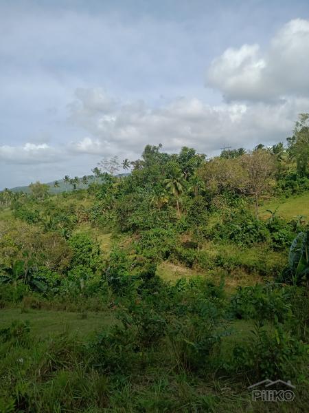 Agricultural Lot for sale in Dumanjug in Philippines