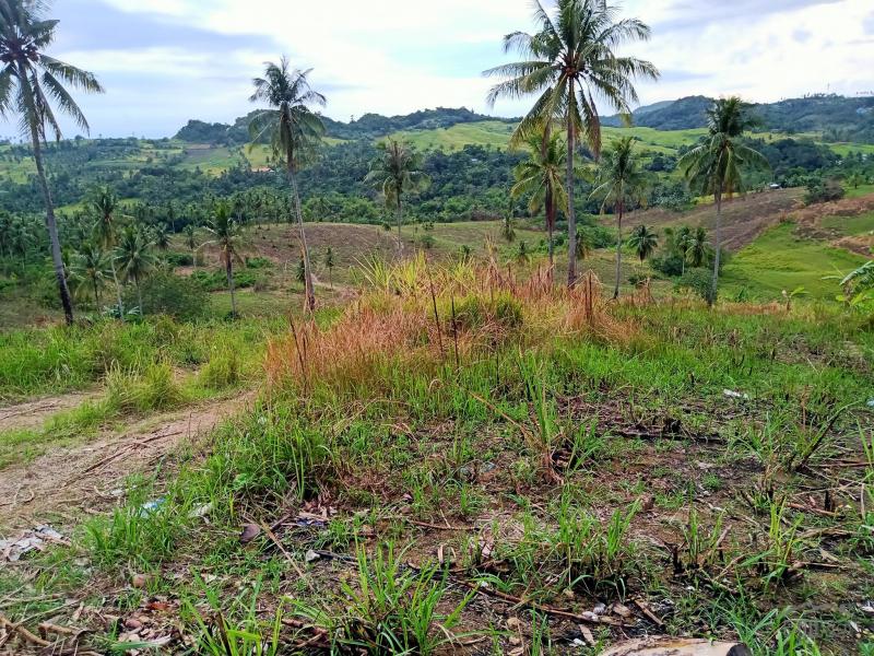 Agricultural Lot for sale in Tabogon in Philippines