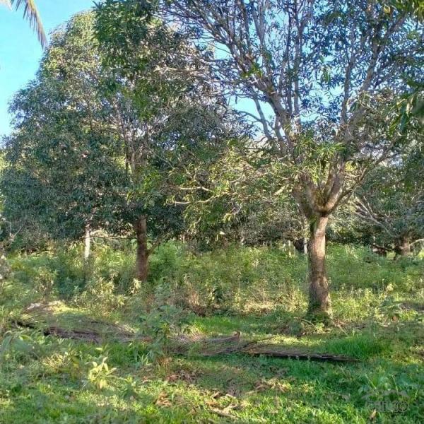 Agricultural Lot for sale in Trinidad