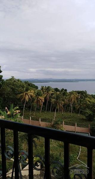 5 bedroom House and Lot for sale in Maribojoc - image 14