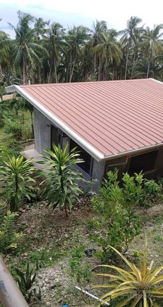 5 bedroom House and Lot for sale in Maribojoc - image 17