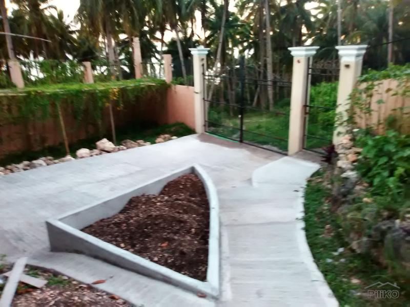 5 bedroom House and Lot for sale in Maribojoc - image 18