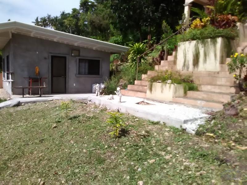 5 bedroom House and Lot for sale in Maribojoc - image 22
