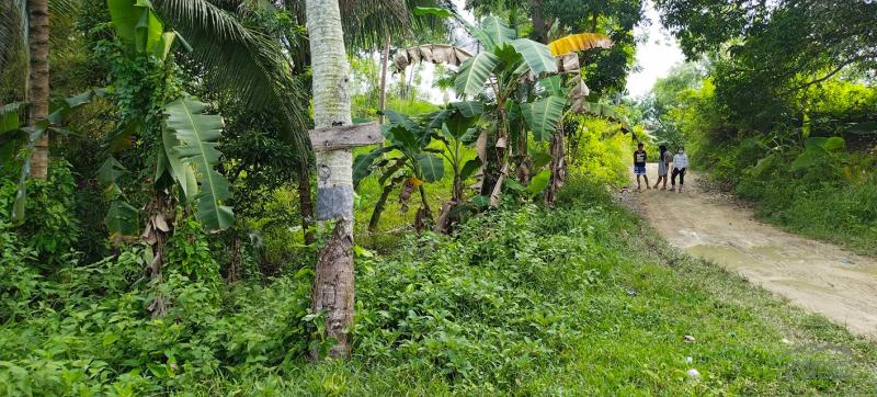 Agricultural Lot for sale in Aloguinsan - image 11