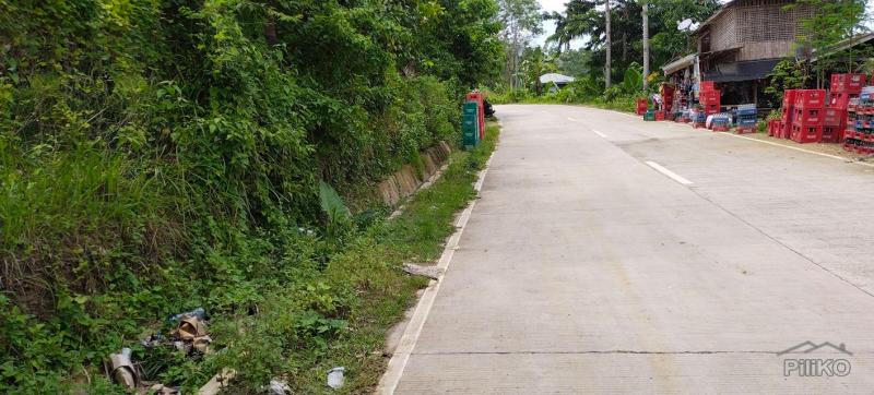 Agricultural Lot for sale in Aloguinsan in Cebu