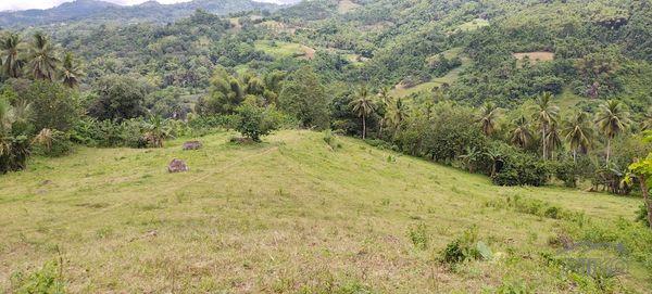 Agricultural Lot for sale in Cebu City - image 12