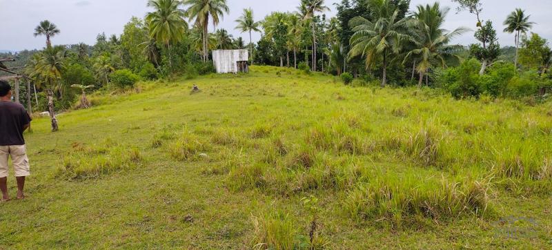 Picture of Agricultural Lot for sale in Aloguinsan