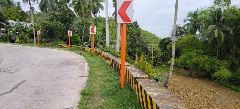 Agricultural Lot for sale in Aloguinsan - image 3