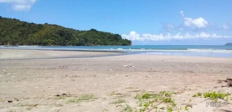 Agricultural Lot for sale in El Nido in Palawan