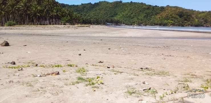Agricultural Lot for sale in El Nido in Philippines